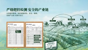 过节送礼别只送烟酒！这份“健康礼单”让长辈夸你会买东西
